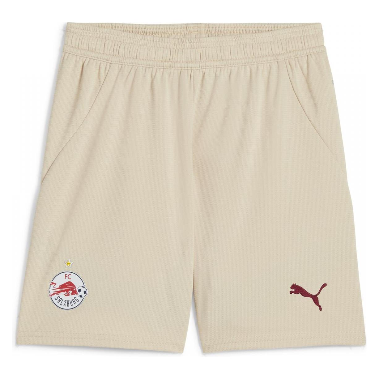 Puma RBS Shorts Replica Jr (152) (776453)