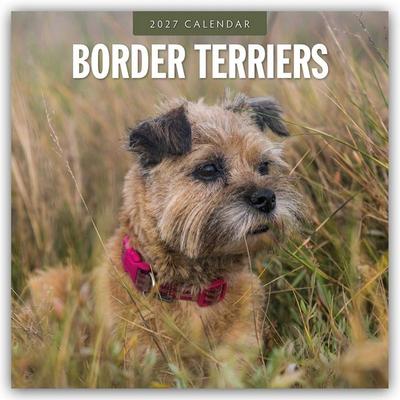 Border Terriers – Border Terrier 2027 – 16-Monatskalender