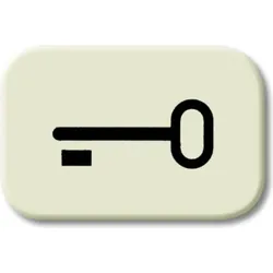 Busch-Jaeger Tastersymbol Schlüssel 2525 TR