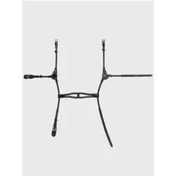 Equiline, Halfter