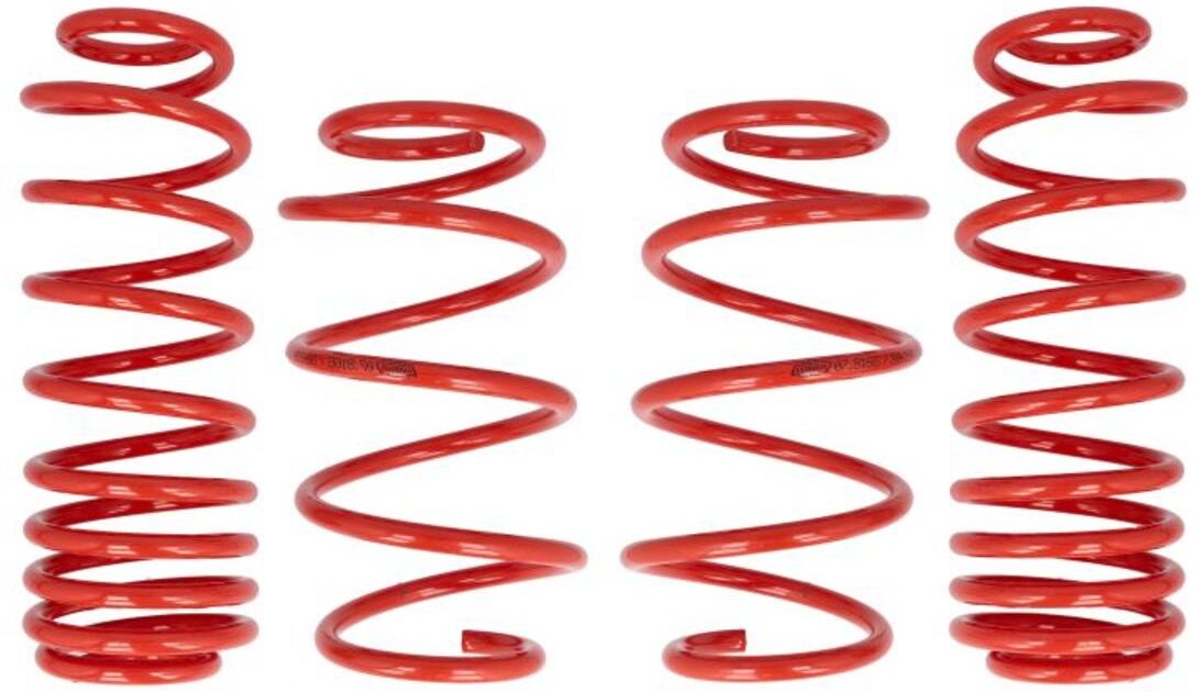 Feder, Tieferlegung COBRA 07.8166.C