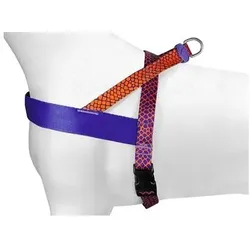 Morso Norwegian Hondentuig Gerecycled Urban Lizard Rood (Hund, Allgemein), Halsband + Leine
