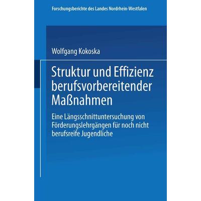 Struktur und Effizienz berufsvorbereitender Maßnahmen, Taschenbuch von Wolfgang Kokoska, VS Verlag für Sozialwissenschaften, 978-3-531-03044-9