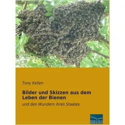 Bilder und Skizzen aus dem Leben der Bienen, Ratgeber von Tony Kellen