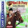 Shoebox - Pferd & Pony - Mein Pferdehof - Preis vom 27.09.2026 03:53:48 h