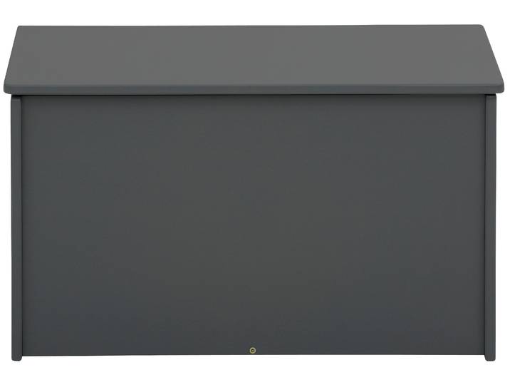 Truhe GOODPRODUCT Alpi , grau, B:70cm H:40cm T:40cm, FSC-zertifiziertes Massivholz, Truhen, Truhe, Kiefernholz, Deckel, verschiedene Farbvarianten, Höhe 40 cm