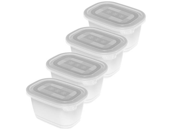Rotho Freeze Gefrierdosen 4x0.75l