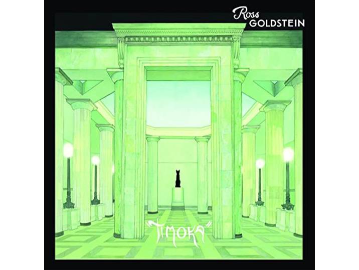 Ross Goldstein - Timoka
