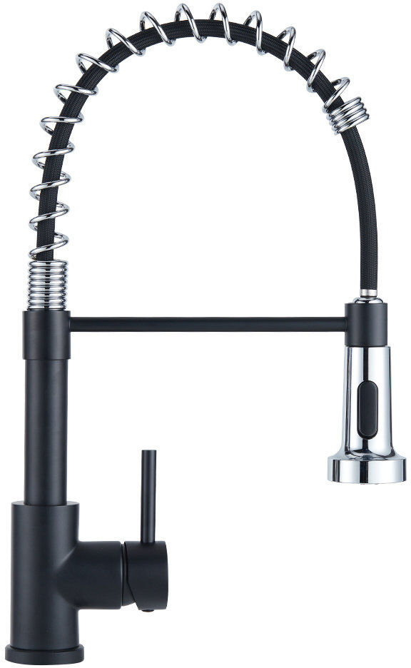 Belfry Kitchen Ailsa Kitchen Faucet Matte Black/Silver