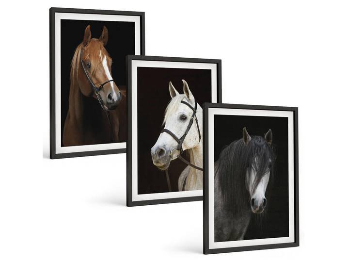 Tulup Bilder SET 3er Set - 40x60 cm Schwarzer Rahmen - Porträts von Pferden in verschiedenen Fellfarben, Kunststoff, Rechteckig, 40x60 cm, Fotografie, Bilder & Rahmen, Bilder