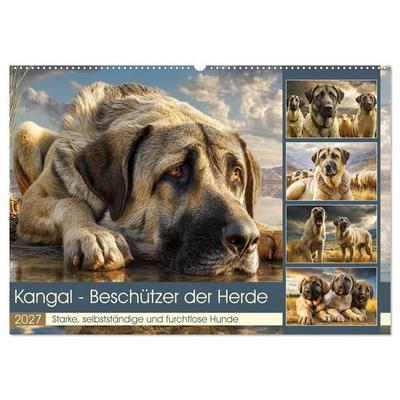 Kangal - Beschützer der Herde. Starke, selbstständige und furchtlose Hunde (Wandkalender 2027 DIN A2 quer), CALVENDO Monatskalender