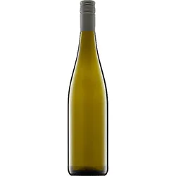 Silvaner Gutswein Weingut Rudolf May 2024 BIO