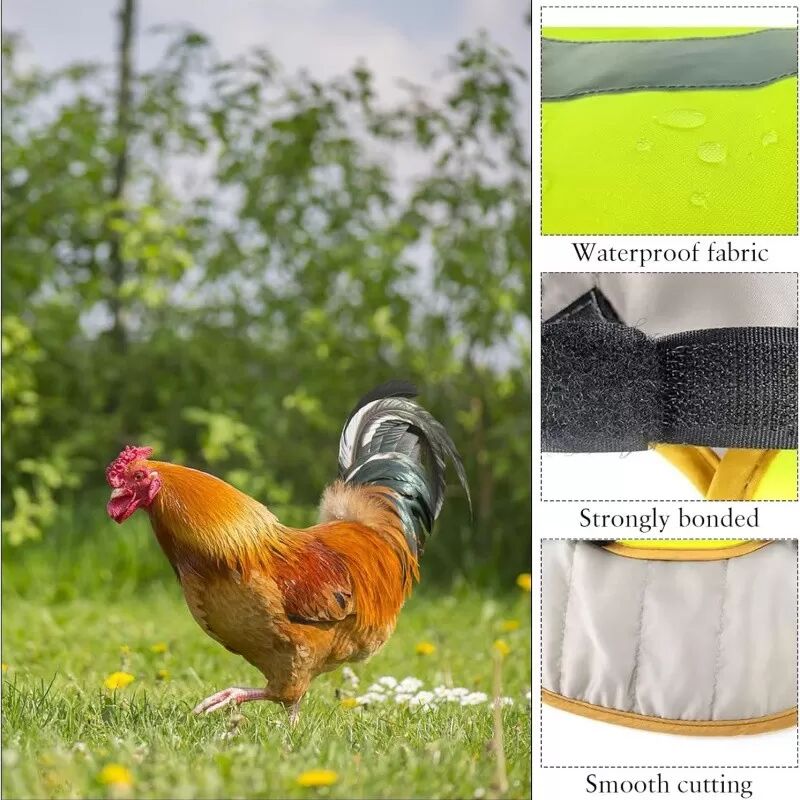 INF Lot de 4 gilets de sécurité réfléchissants pour poulets, canards et oies - Vêtements de protection hivernale