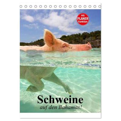 Schweine auf den Bahamas! (Tischkalender 2027 DIN A5 hoch), CALVENDO Monatskalender