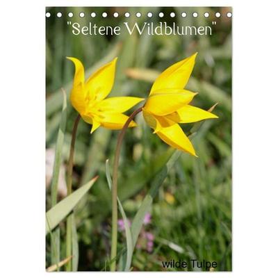 'Seltene Wildblumen' (Tischkalender 2027 DIN A5 hoch), CALVENDO Monatskalender