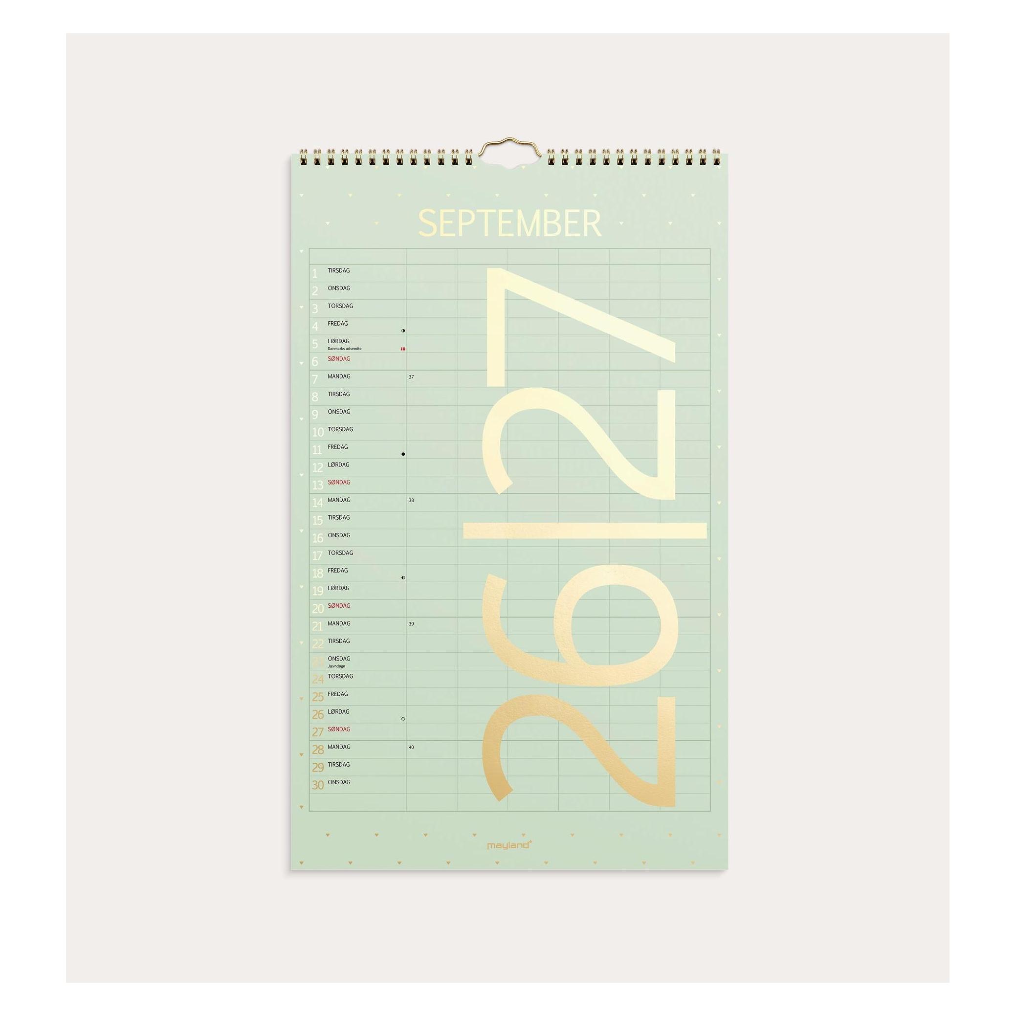 Mayland-Burde Studie Familiekalender Color 2026/2027 (27807700)