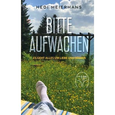 Bitte aufwachen, Taschenbuch von Hedi Meierhans, Tredition, 978-3-347-03498-3