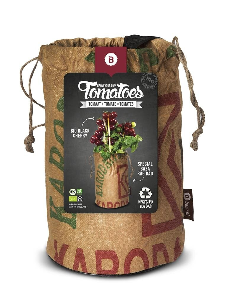 Baza Seeds & Tomatoes Rags Bio Black Cherry Zaden