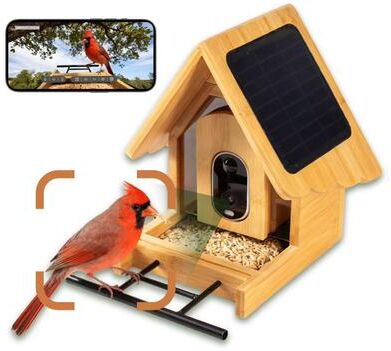 Matrix Decor Smart Solar Bamboo Bird Feeder with 3MP AI Camera, 144° Wide-Angle Lens and Daily Video Highlights