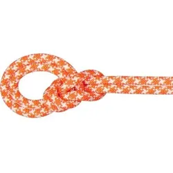 MAMMUT Bergseil 9.5 Crag Classic Rope 60m, Größe 60 in Orange Orange