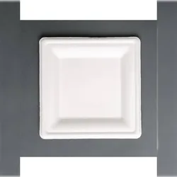 Quadratische Teller aus Bagasse - 50er-Set - Fiesta Green - Weiß - B15.9- L20.4- T15.9- h- Bagasse