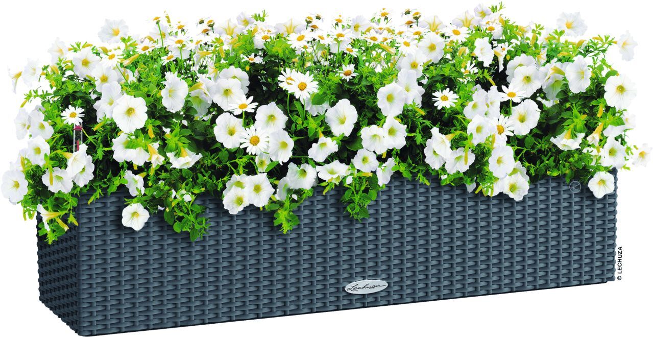 Lechuza Balkonkasten BALCONERA Cottage 80 cm, granit