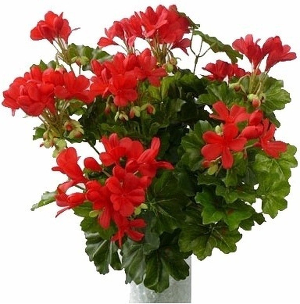 TopArt Kunstbloemen boeket Oostenrijkse Geranium rood 40 cm - 3 stuks
