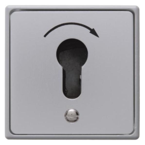 Hager Schlüsseltaster UP WDE4450 f.Profil-Halbzylinder Druckguss IP44 (WDE4450)