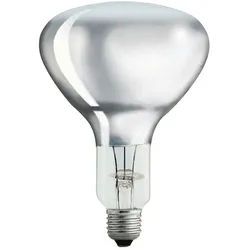 Philips IR150RH BR125 230-250V E2 Landwirtschaft + Lebensmittel PH57520325
