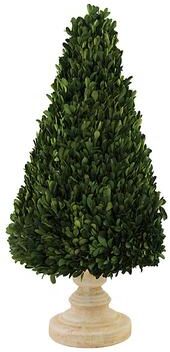 "Preserved Boxwood Cone Tree - 20"" - Ballard Designs"