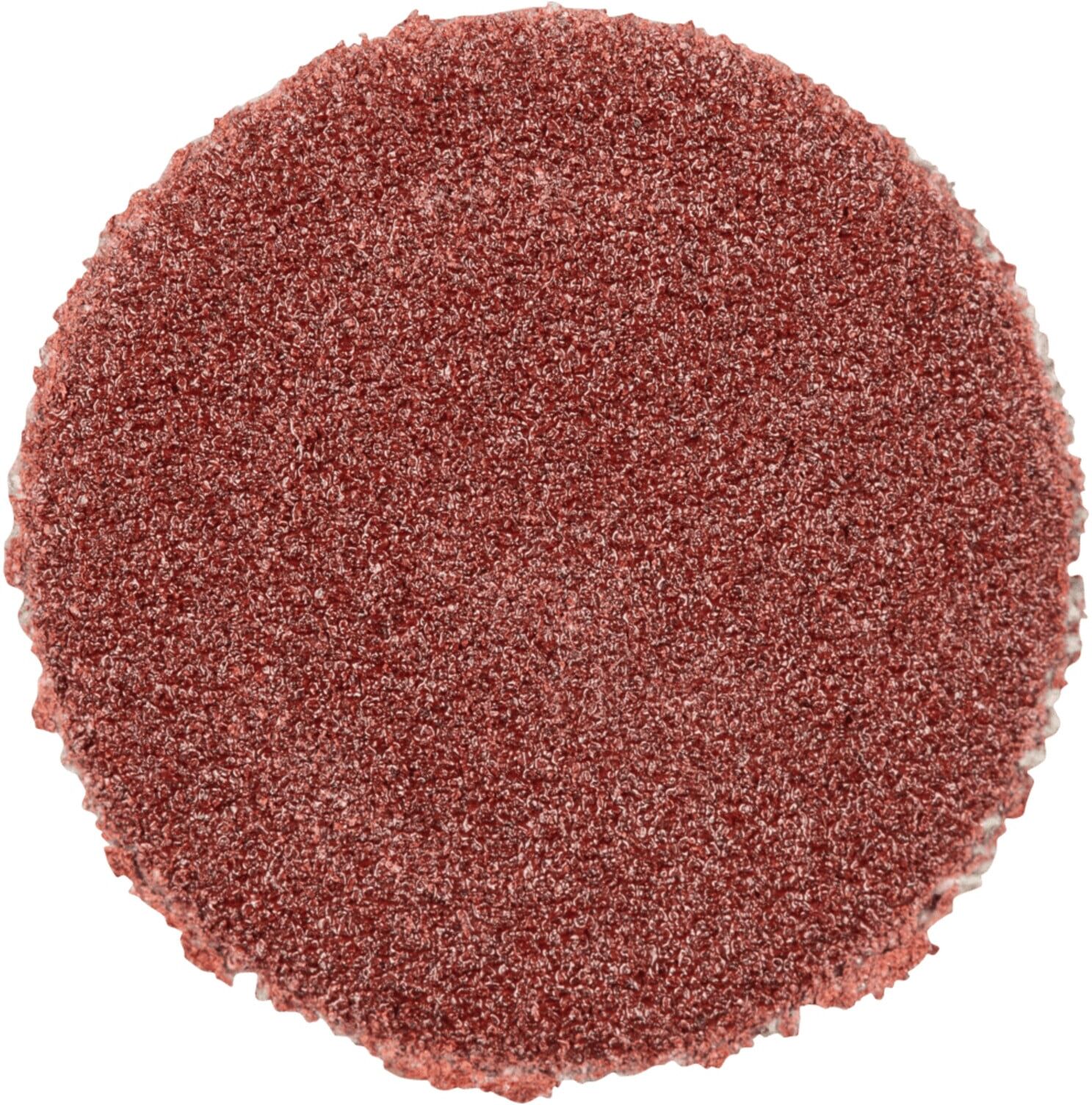 PFERD TOOLS Korund Schleifscheibe selbstklebend PSA Ø 12 mm A240 für Werkzeug-und Formenbau (42832024)