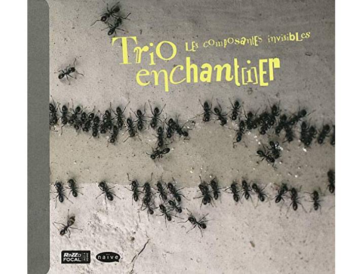 Les Composantes Invisibles