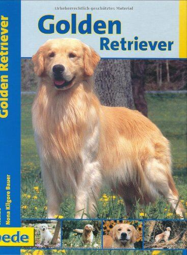 Nona Kilgore Bauer - Golden Retriever, Praxisratgeber - Preis vom 15.10.2026 23:06:25 h