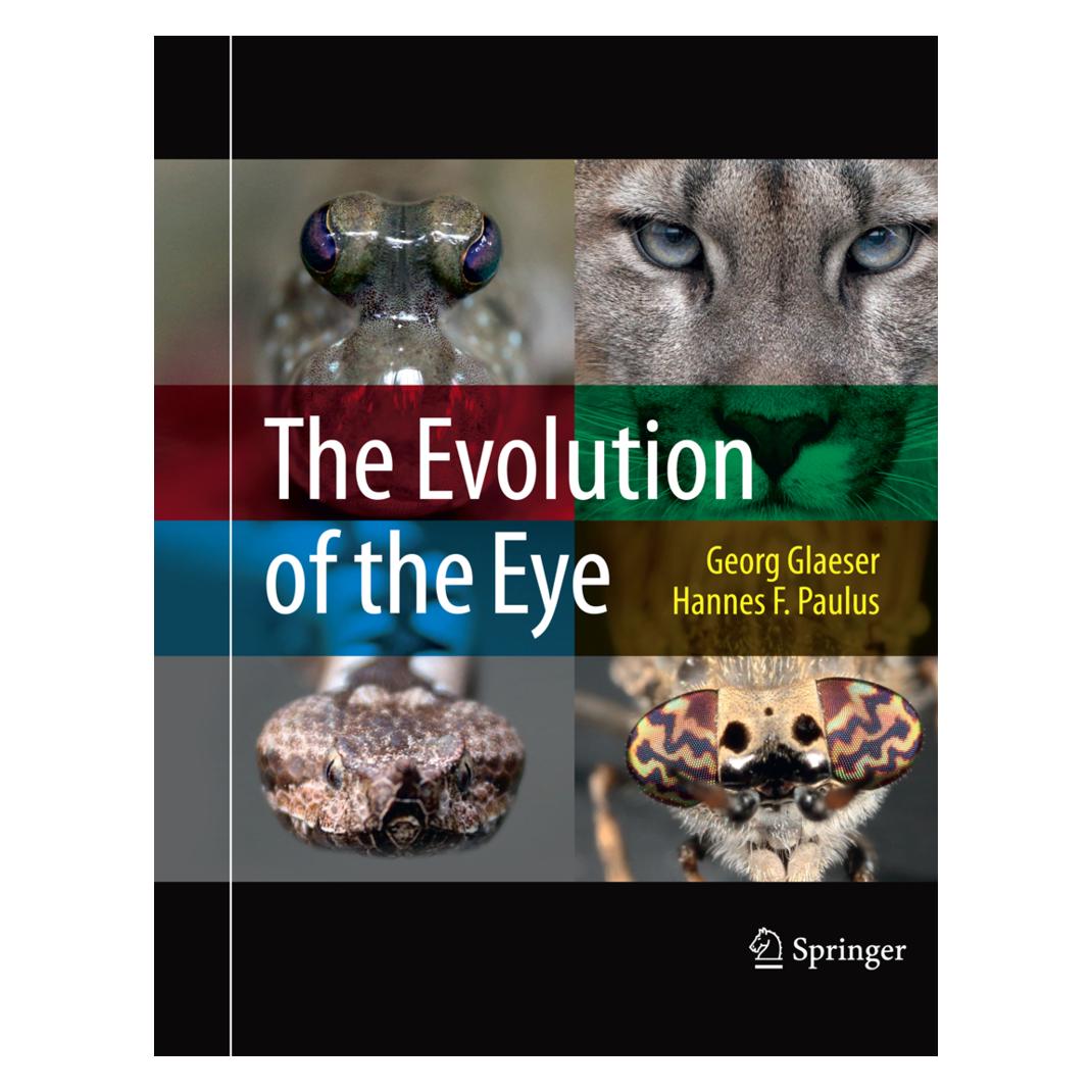 Springer Glaeser:The Evolution of the Eye (Englisch, Softcover, Georg Glaeser, Hannes F. Paulus) (41251715)
