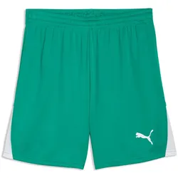 PUMA teamLIGA 26 Shorts Herren 05 - sport green/puma white/puma white XXL