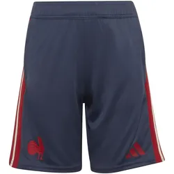 adidas FFR Frankreich Gym Trainingsshorts Kinder KF8901 - shadow navy 140