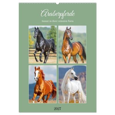 Araberpferde. Anmut in ihrer reinsten Form (Wandkalender 2027 DIN A2 hoch), CALVENDO Monatskalender