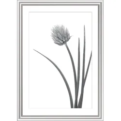 Bilderrahmen ELEGANCE silber (BH 76x56 cm) - silber - BH 76x56 cm