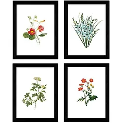 POSTER Set mit 4 Botanischen Stils Sensitive A3 Rahmenlos