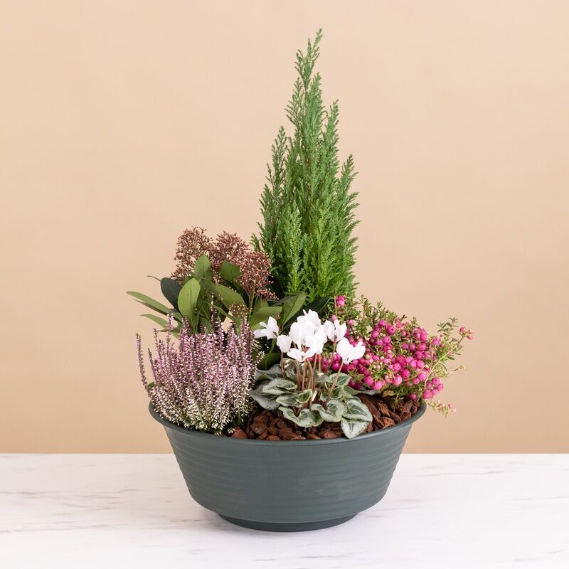 Coupe de plantes deuil : Hommage paisible, plantes pour le deuil - Interflora