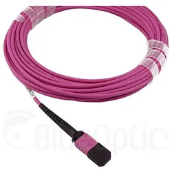 BlueOptics 7Z57A03569 kompatibles MPO-MPO OM4 Patchkabel 10 Meter, Transceiver, Pink