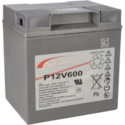 Sonnenschein / Exide Exide Sprinter P12V600 12V 24Ah Blei-AGM Akku mit VdS