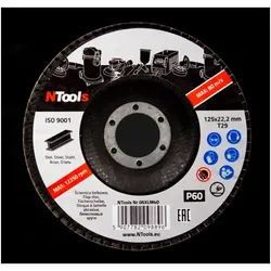 APP Fächerschleifscheibe Lamellenschleifscheibe Ø125mm P60 10er-Pack