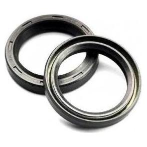 Ari ARI- Pair of Fork Oil Seals 40 X 49,5 X 7/9,5 DC4Y (ARI.035)