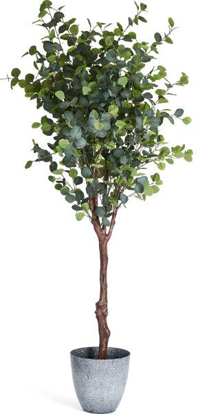 4EverGreen Eukalyptus Træ, 220 Cm