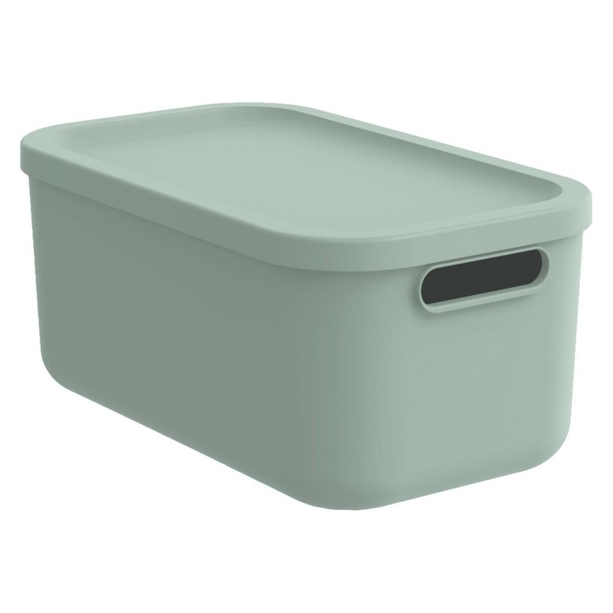 Rotho Babydesign Spielzeugbox KAYO S Sage Green (1238905155)