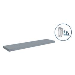 Orion Regalsysteme E10030M/040 Fachboden (B x T) 1000 mm x 300 mm Edelstahl Edelstahl Metallboden 1 St.