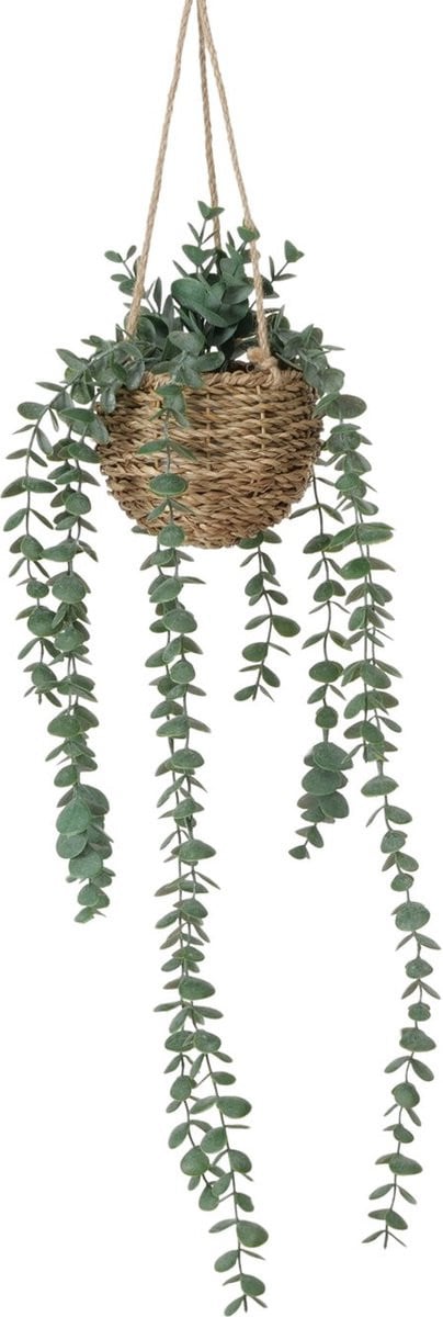 Boltze Home hangplant Eucalyptus