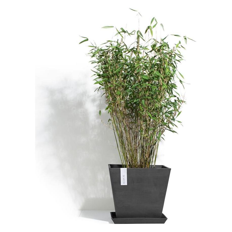 Ecopots Saucer Rotterdam (SROT.50.DG)