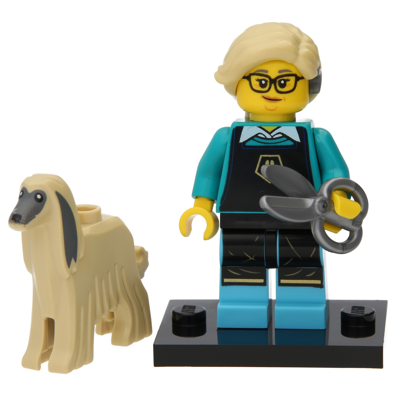 LEGO Minifiguren Serie 25 Hondentrimster 71045